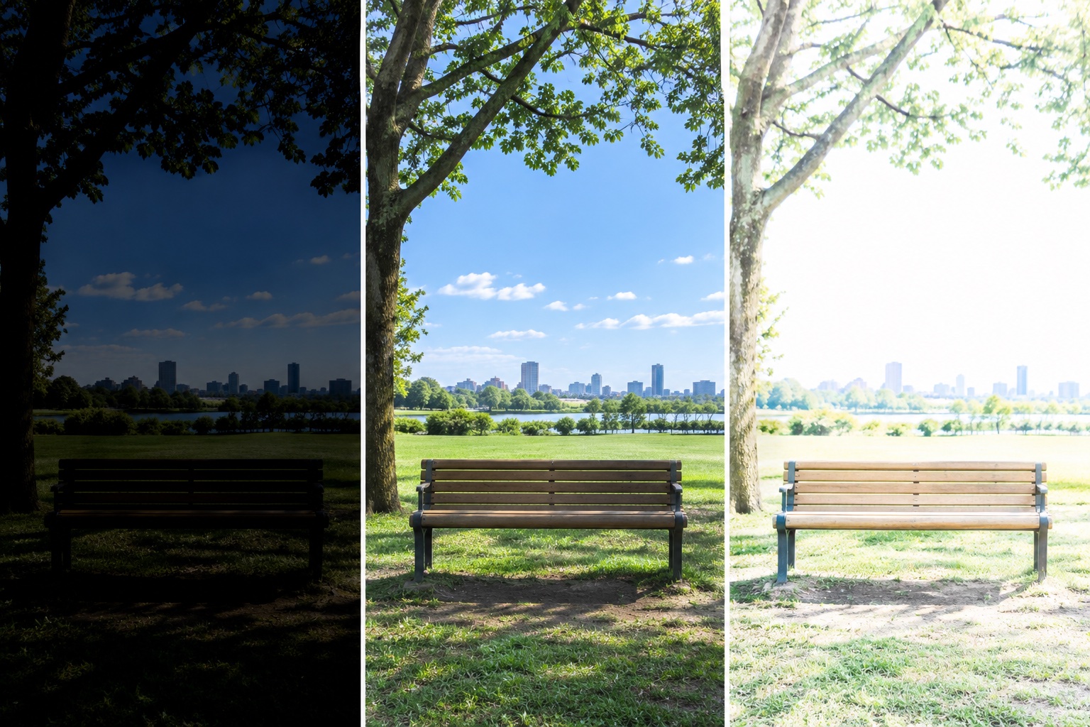 同じ公園の風景を、暗すぎる写真、ちょうどよい明るさの写真、明るすぎる写真の順に並べた比較